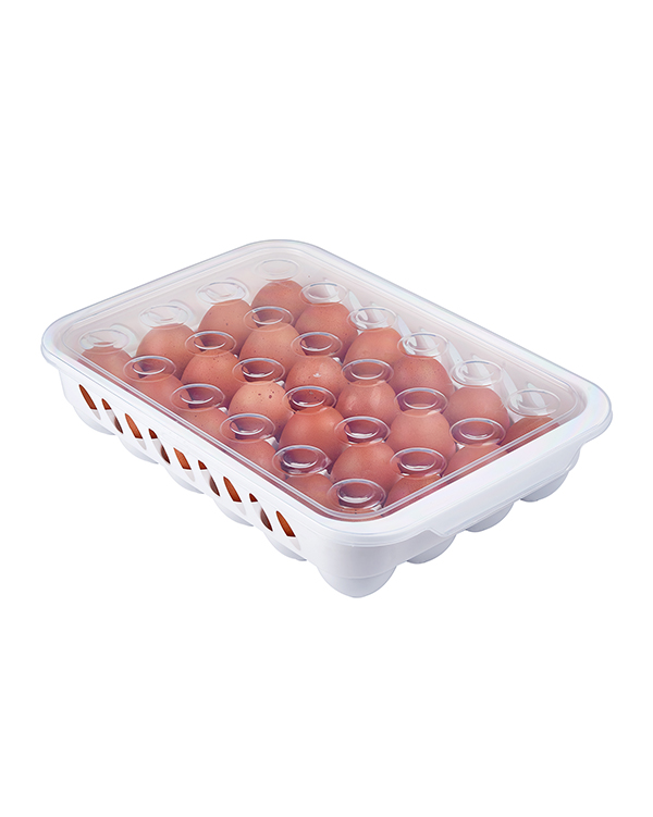 Eggy Egg Box 24 Division G32